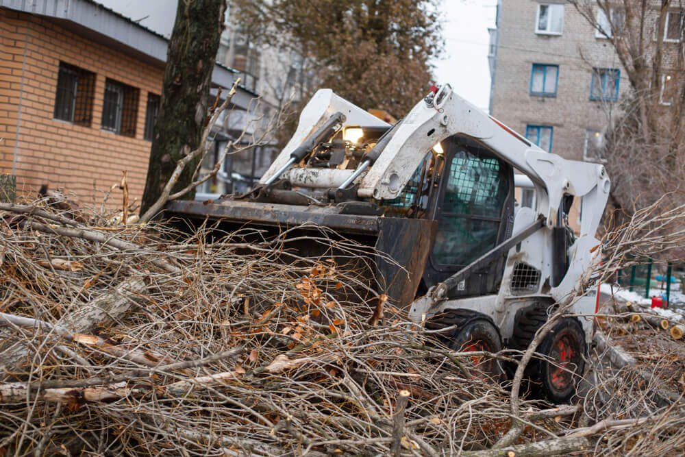 Emergency Tree Service