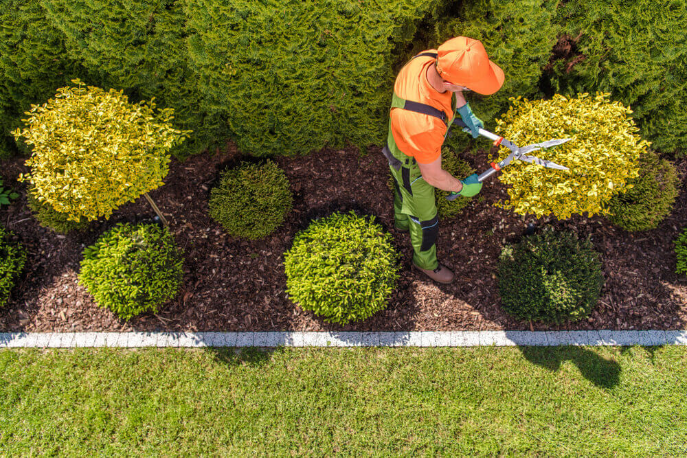 Landscaping Services