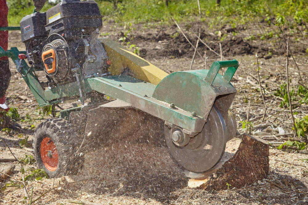Stump Grinding & Removal Specialist