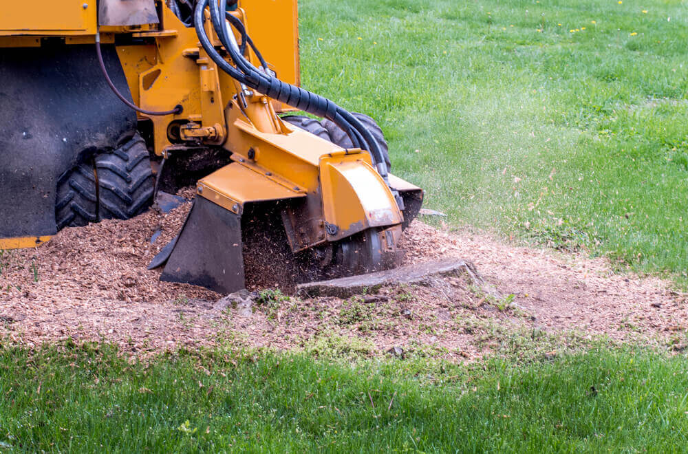 Stump Removal Leeds