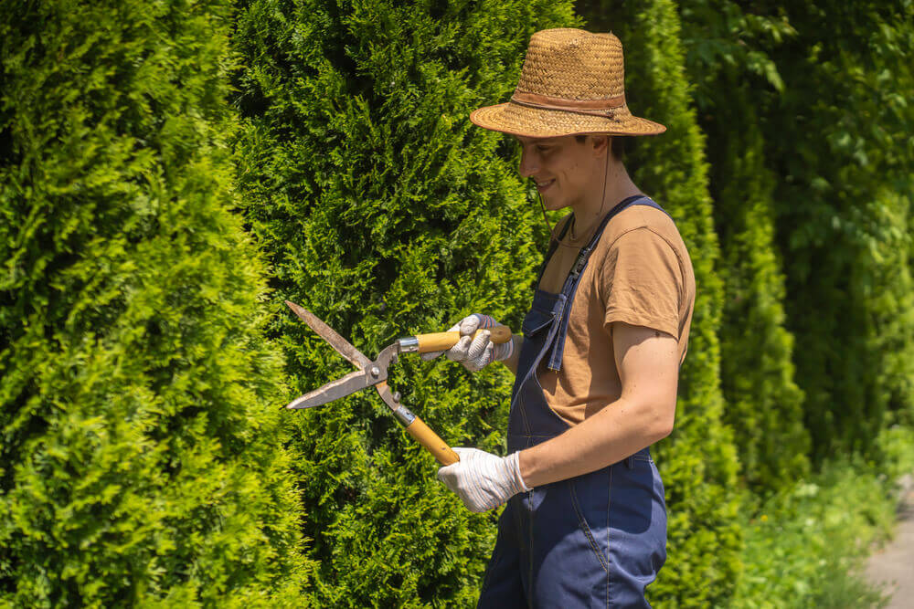 Tree Trimming & Pruning Expert