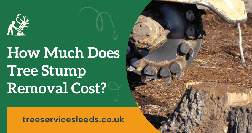 Tree Stump Removal Cost